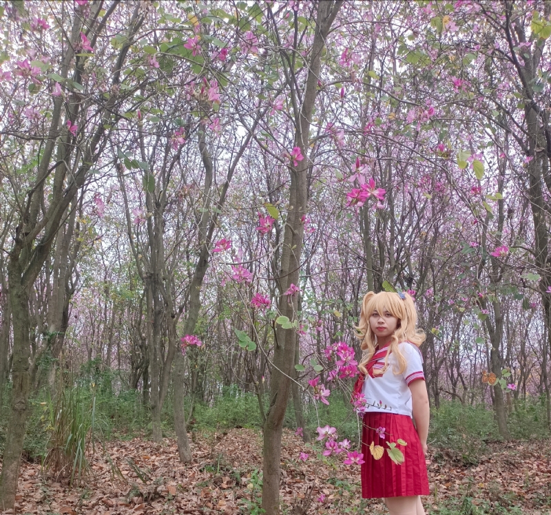 暮秋的第四张照片--南宁上门女婿服务网